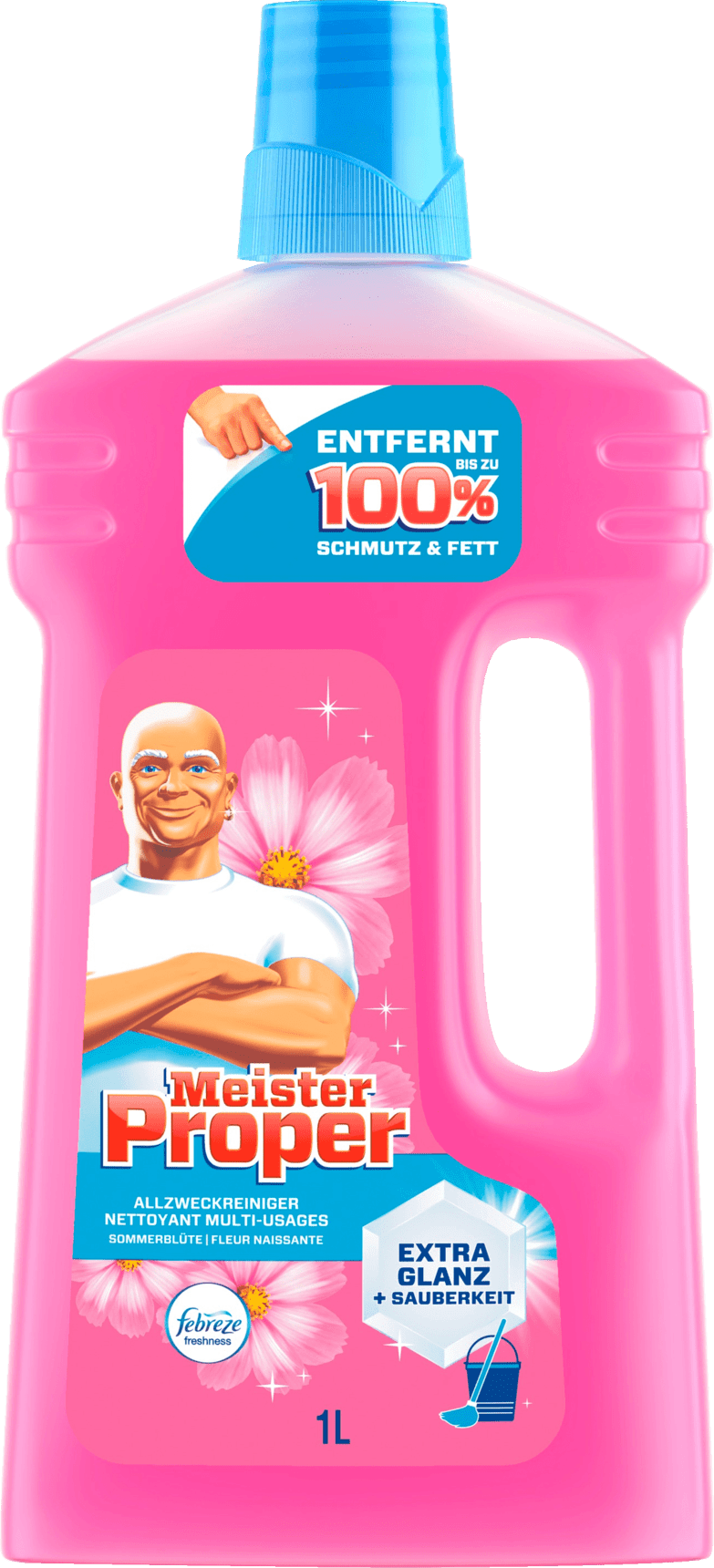 Meister Proper Allzweckreiniger Sommerblüte 1l